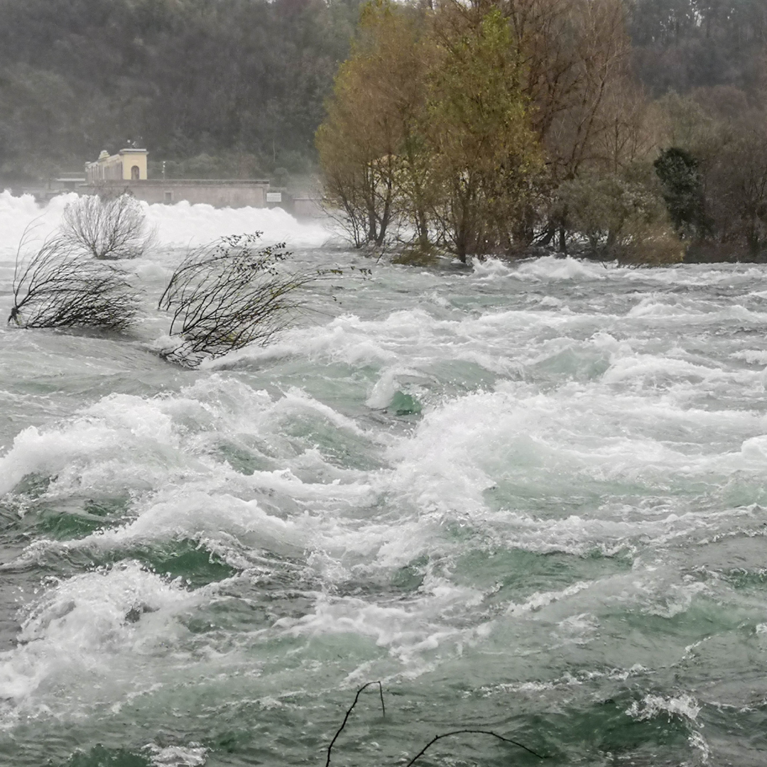 flood